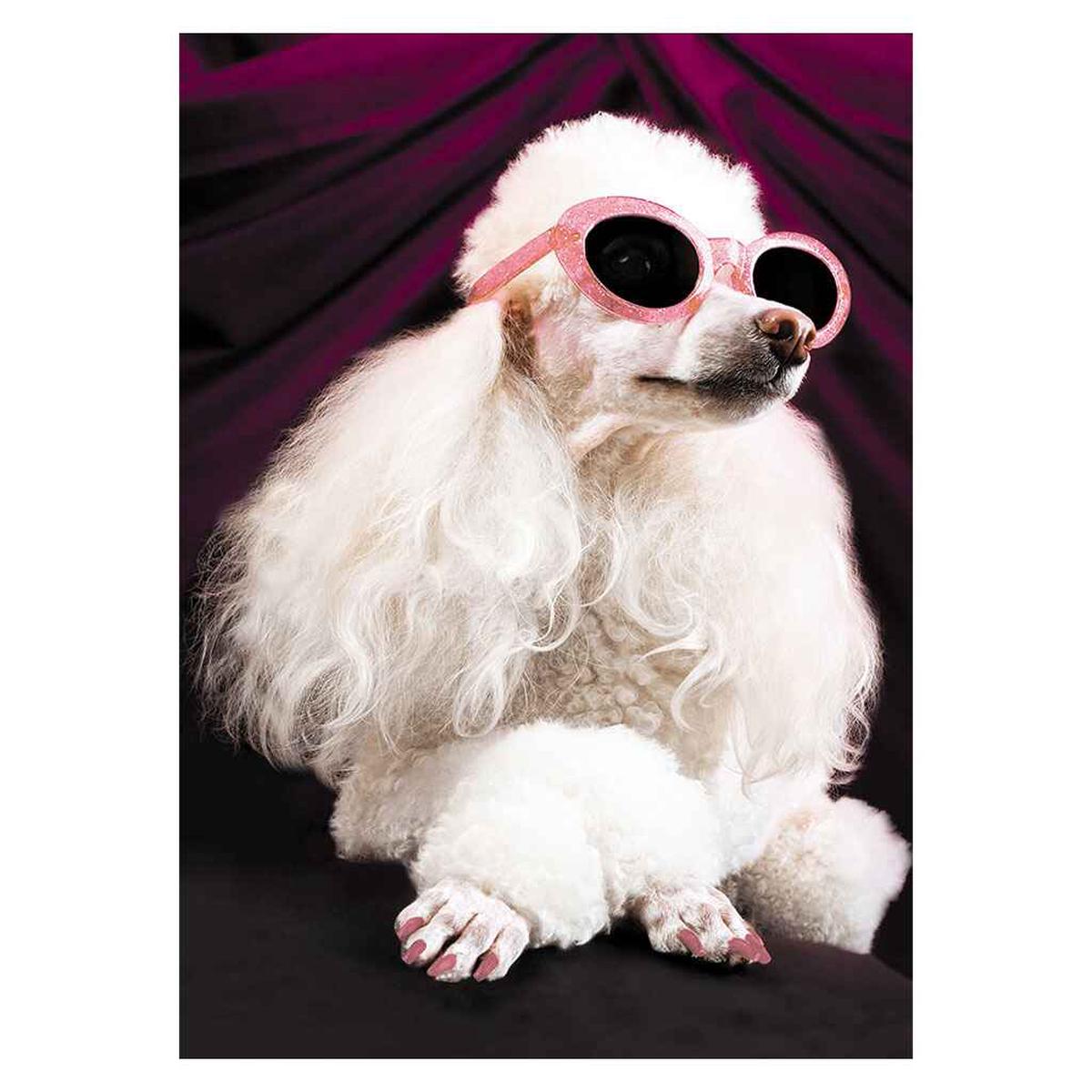 Fabulous Birthday Poodle Greeting Card