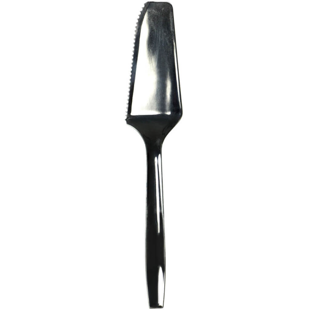 Polished Silver Cake Server Set 2pc