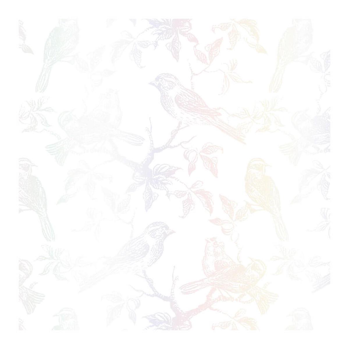 Wings Of Pearl Gift Wrap Roll 5ft
