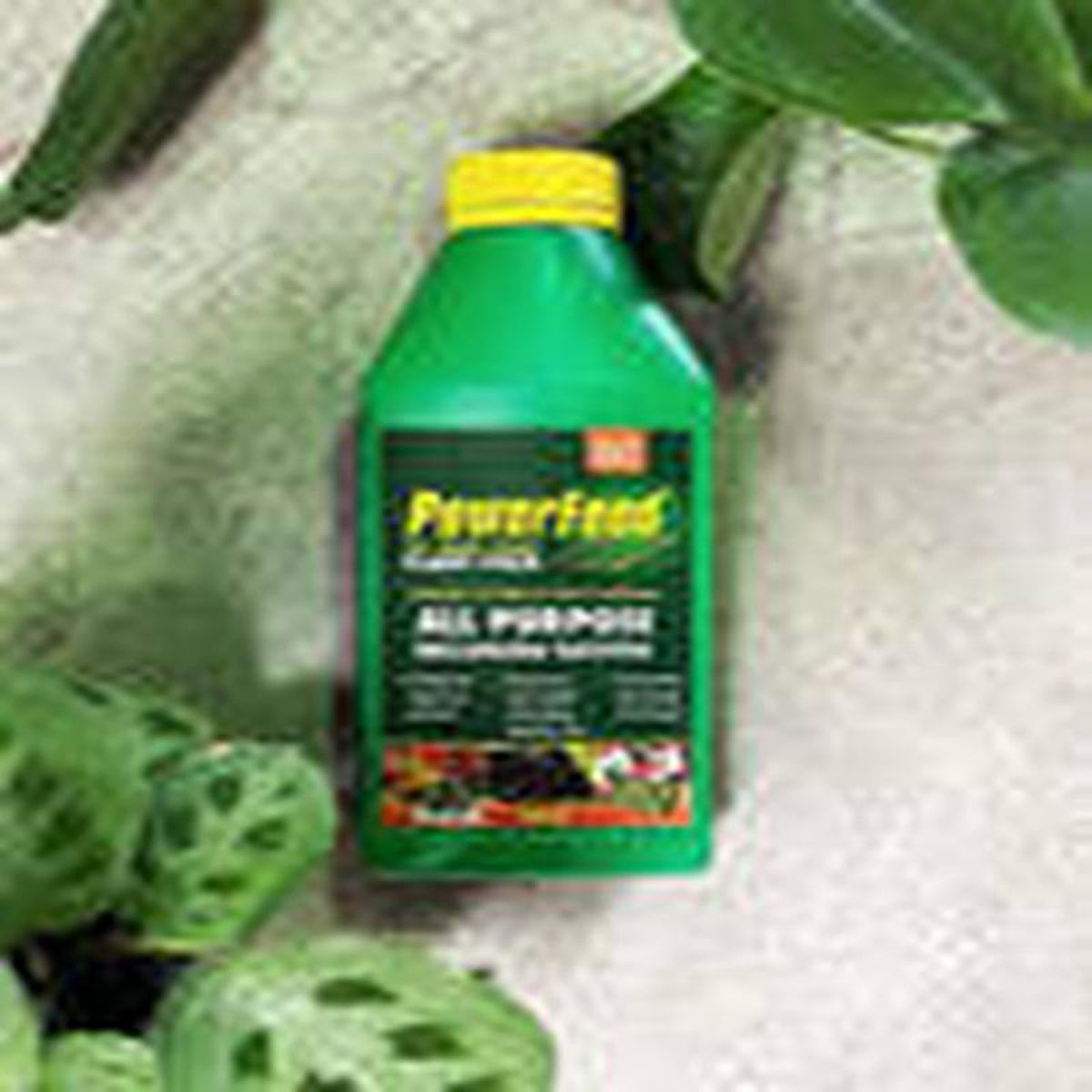 POWERFEED 2LTS PLANT FOOD