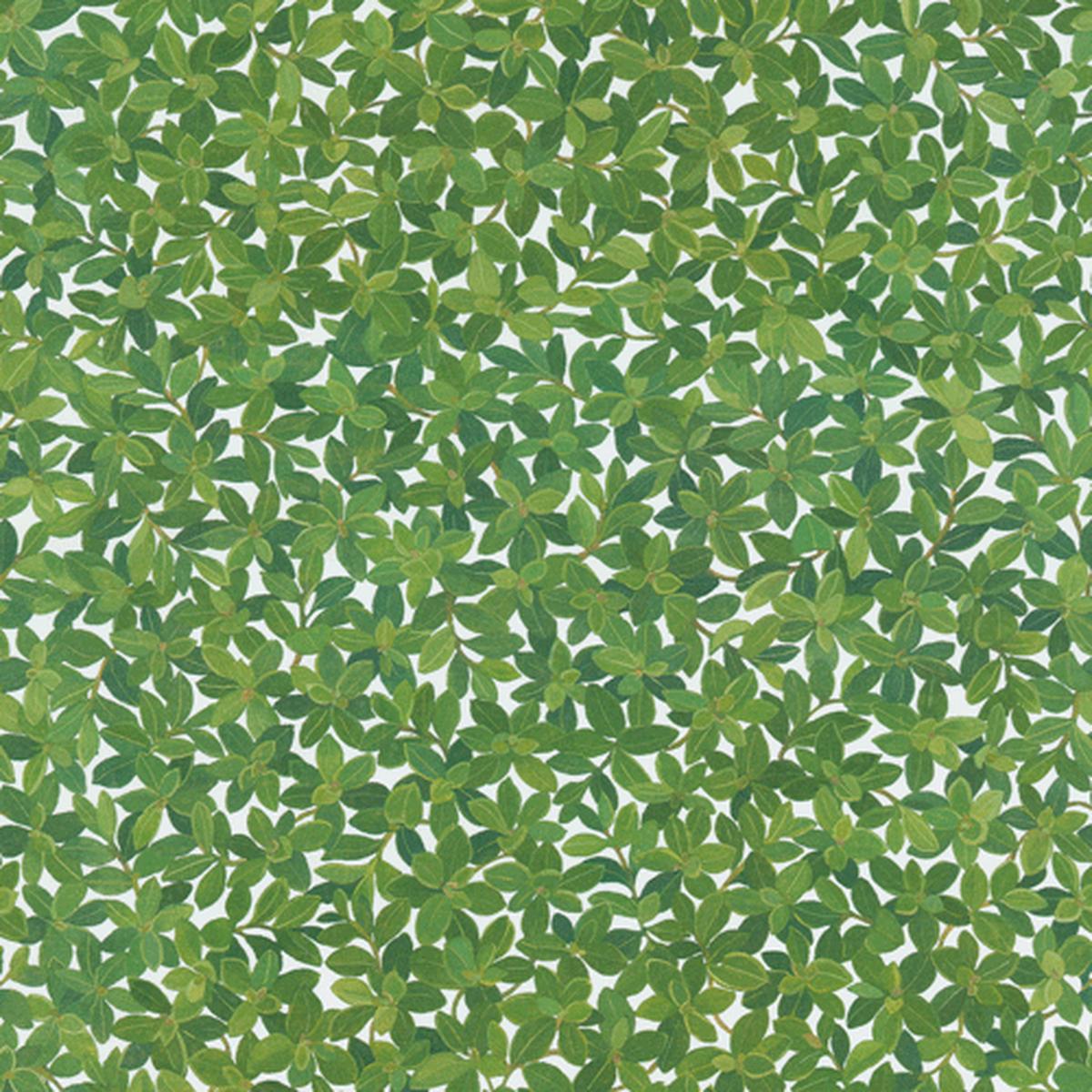 Gift Wrap Roll -Boxwood Ivory