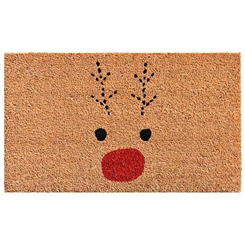 Rudolph Doormat for Christmas, Gift for Friends, Lovely doormat for Any Season