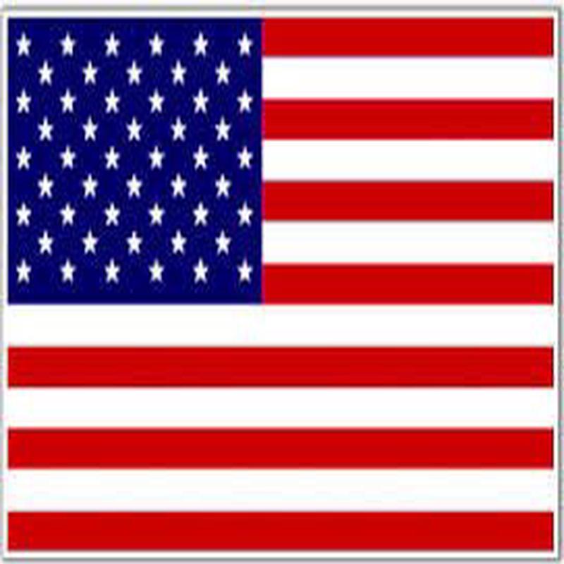 United States Flag with Stick | 4" x 6"