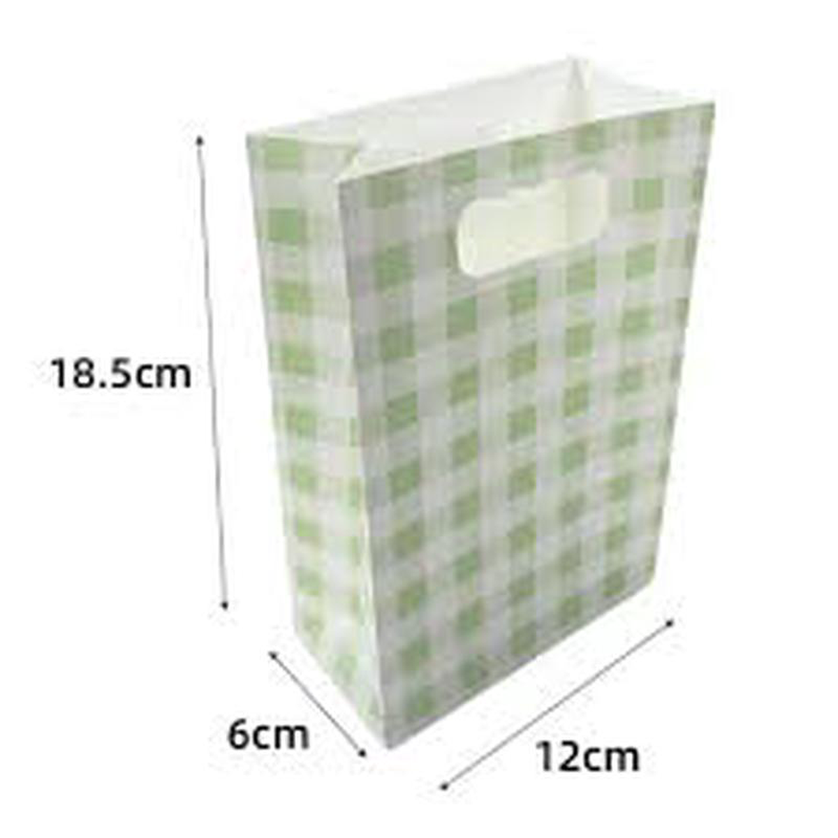 PAPER BAG GREEN GINGHAM