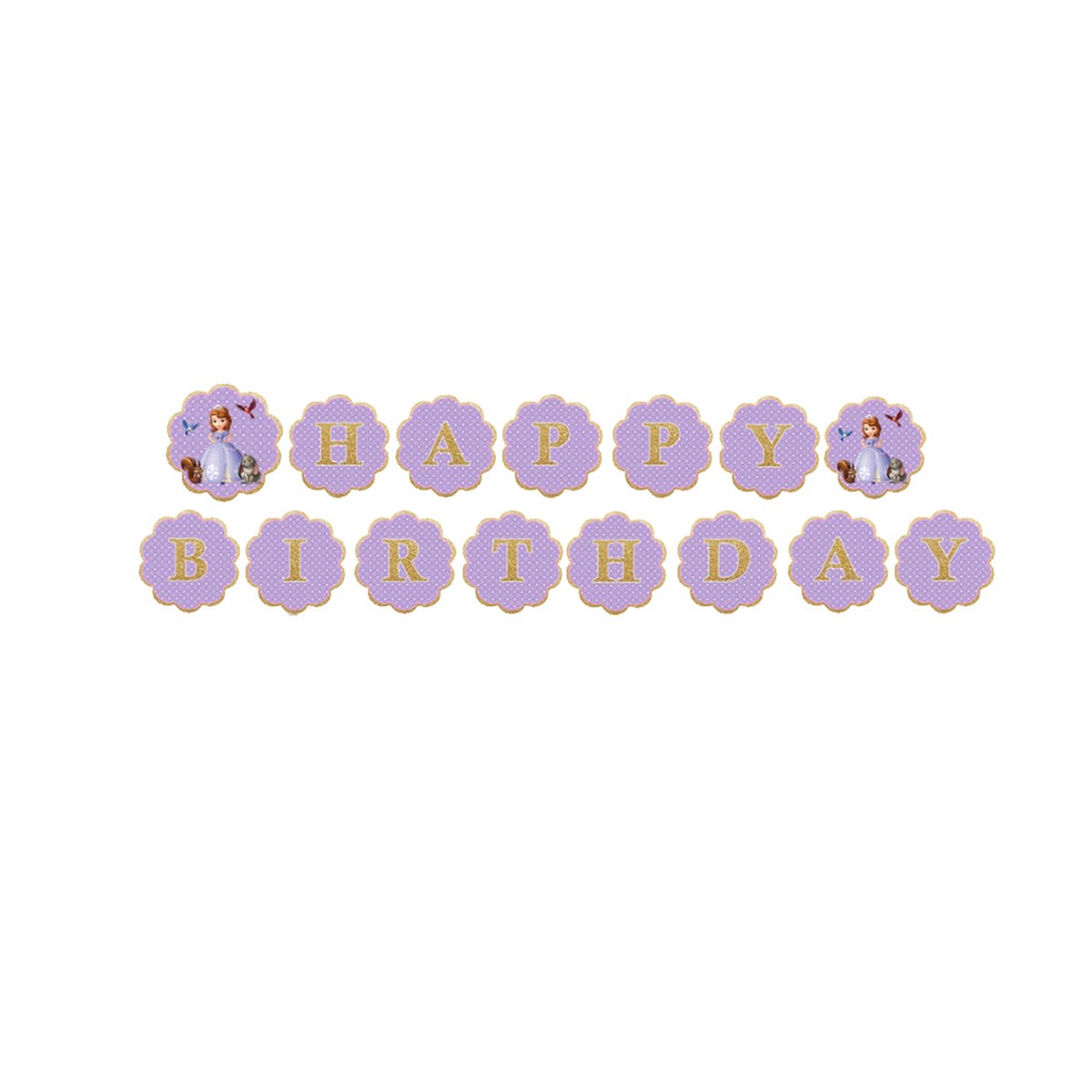 Sofia Theme Customize Banner
