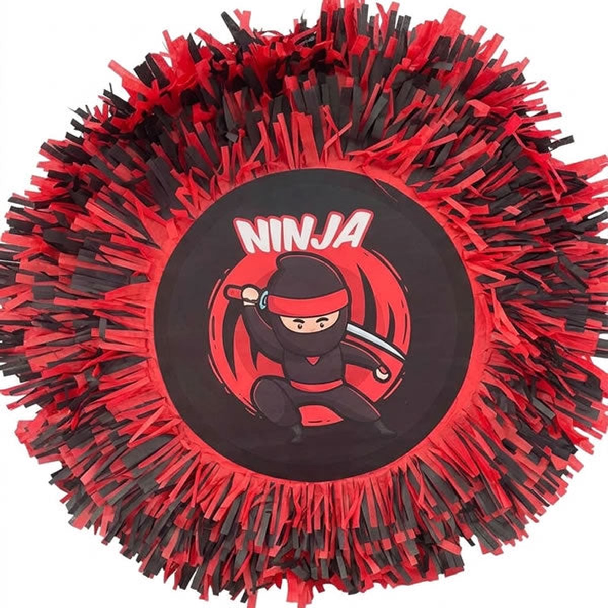 Ninja Pinata