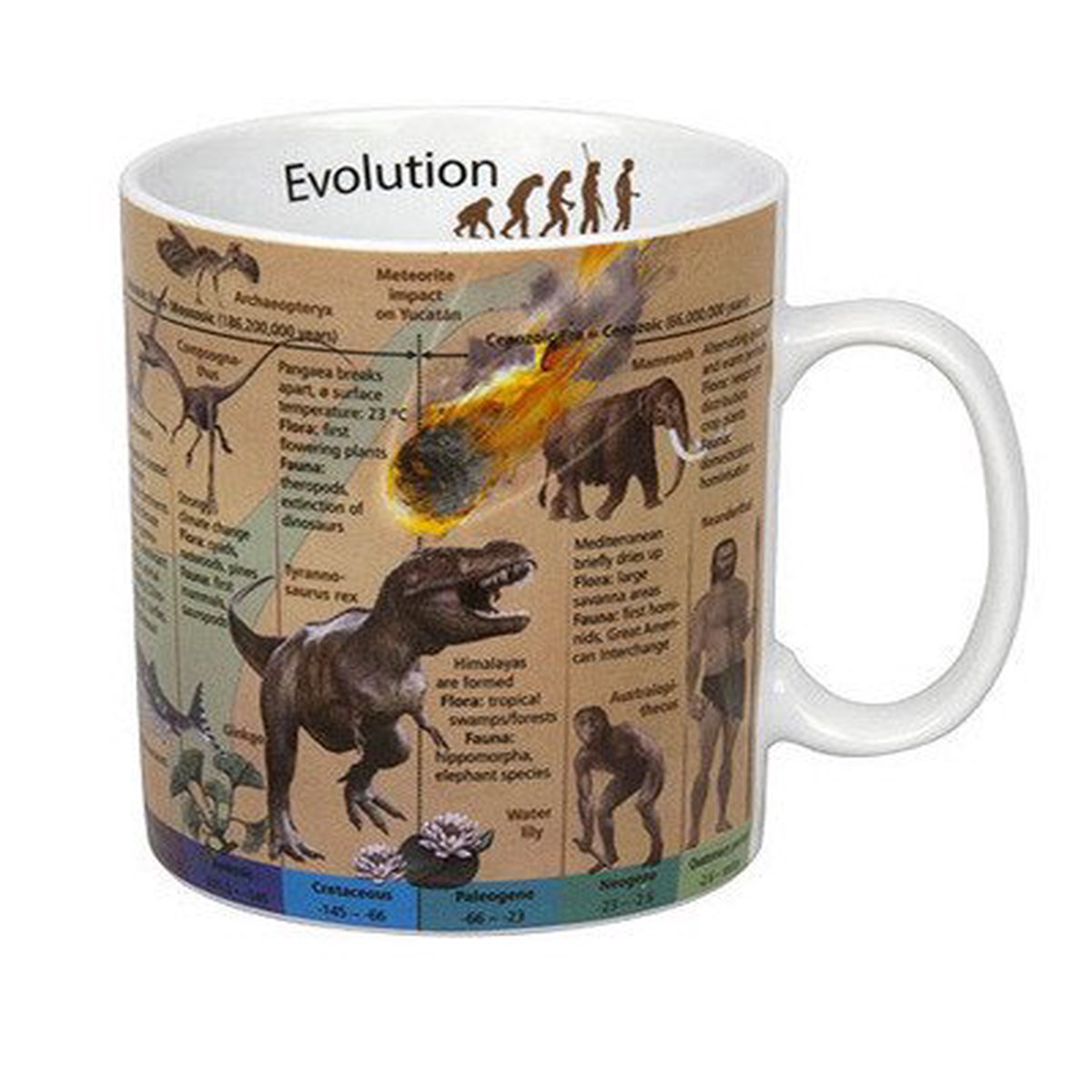 Hrnek - Evoluce / Evolution