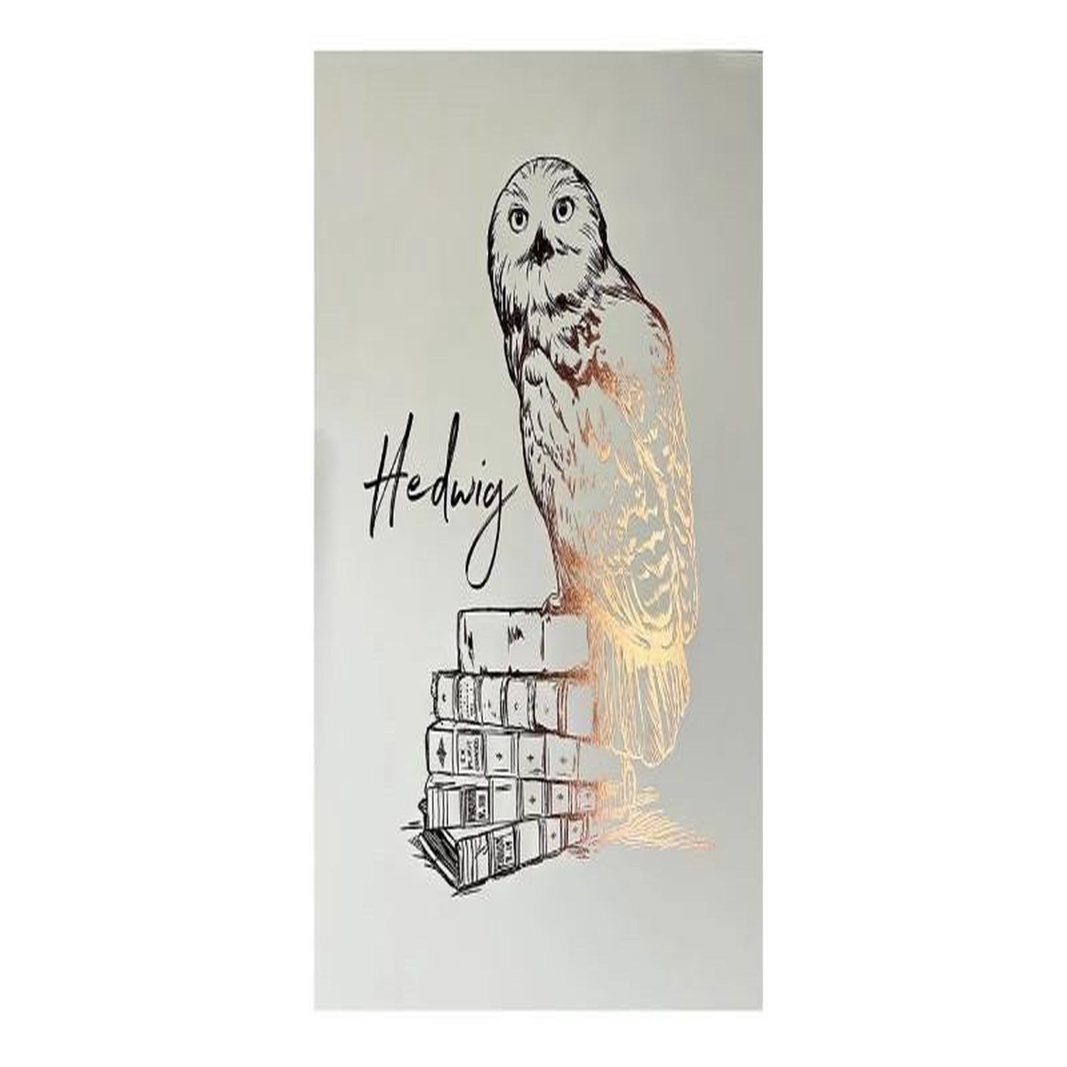 Harry Potter Plakt - Hedvika