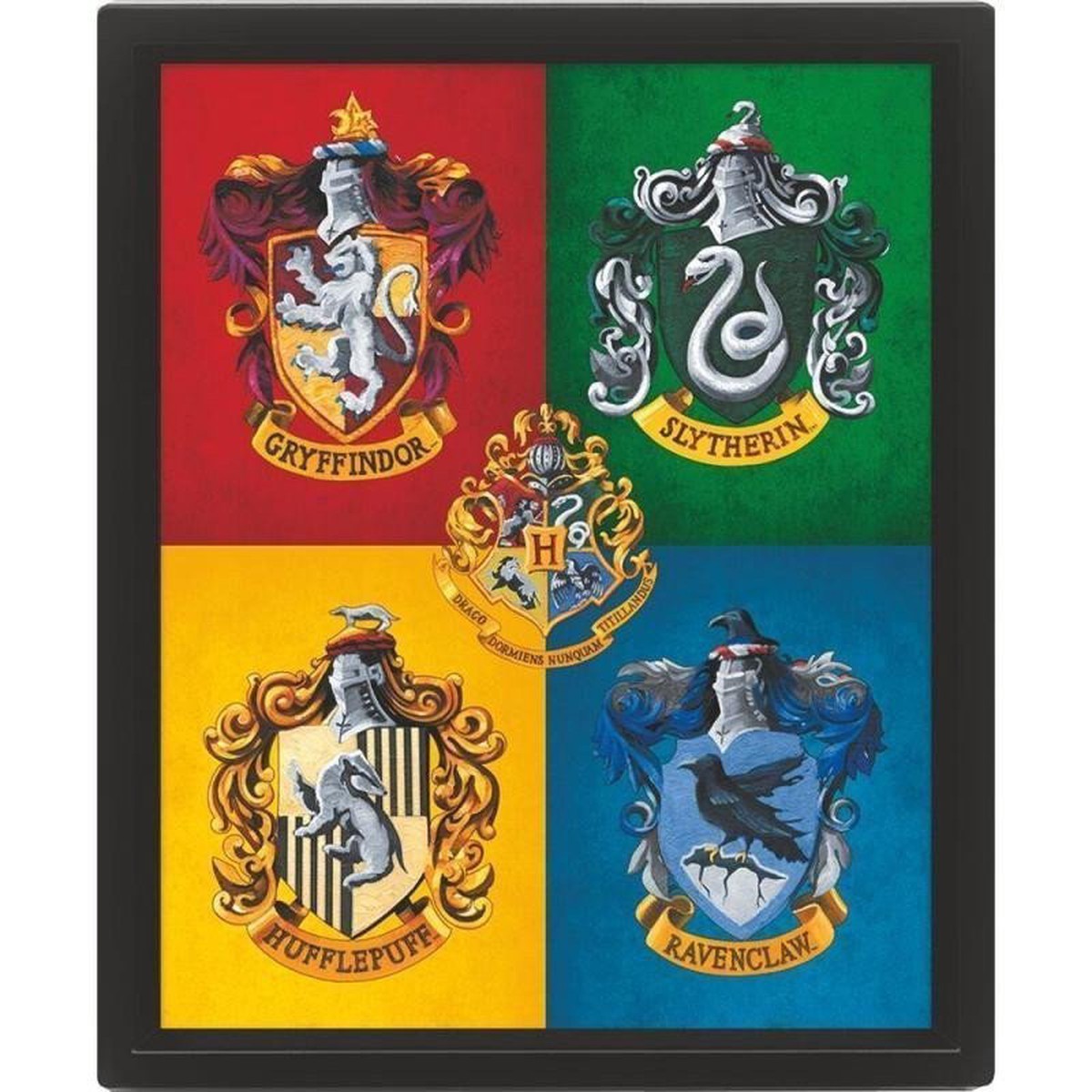 Harry Potter Obraz 3D - barevn
