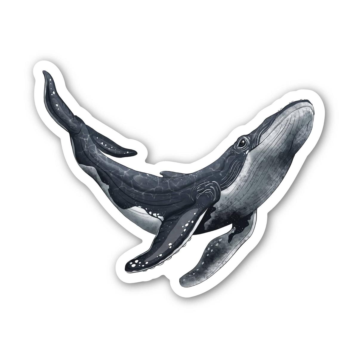Humpback Whale Sticker