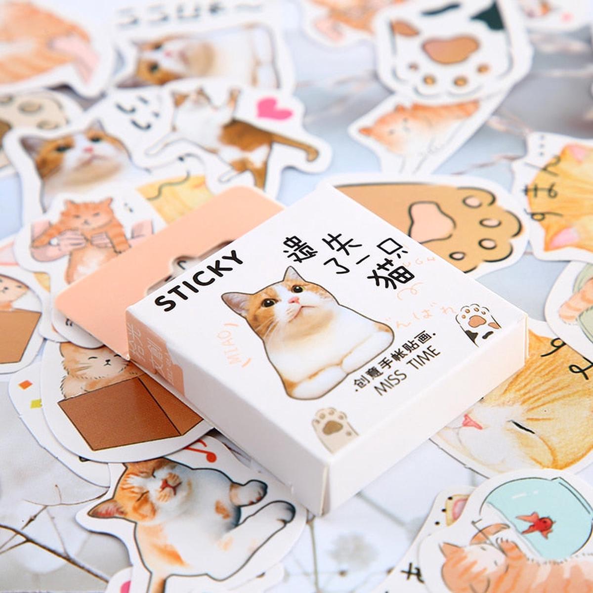 Orange Kitty Stickers