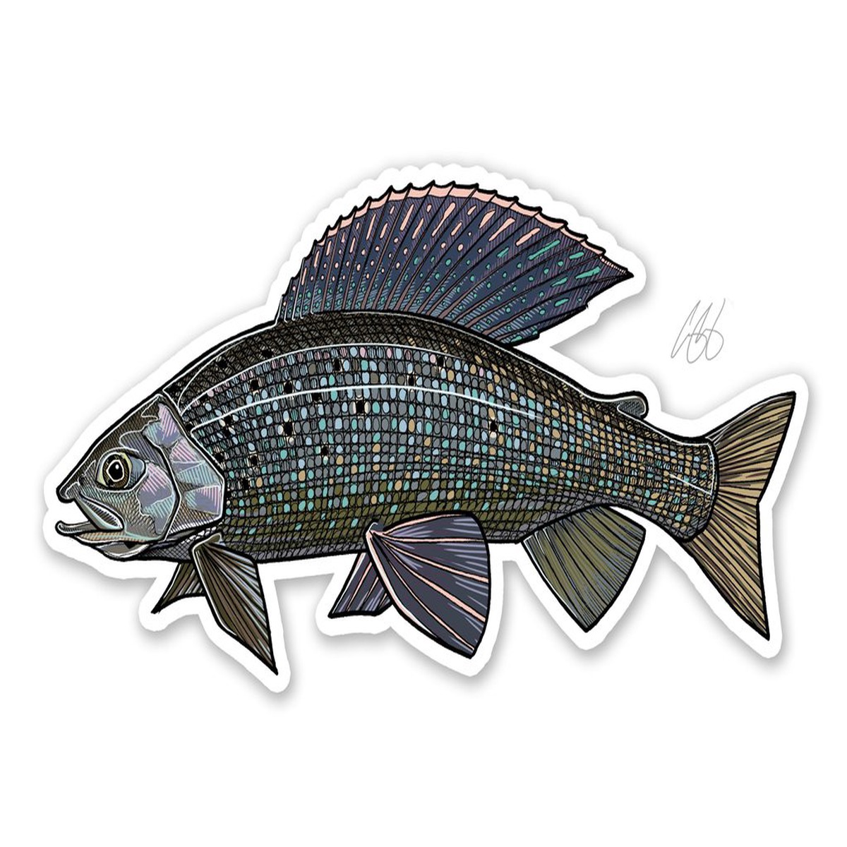Underwood Grayling Decal