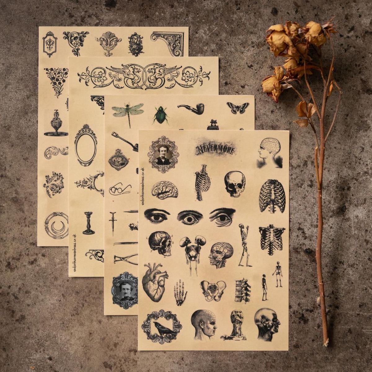 Poe's Raven Sticker Sheets