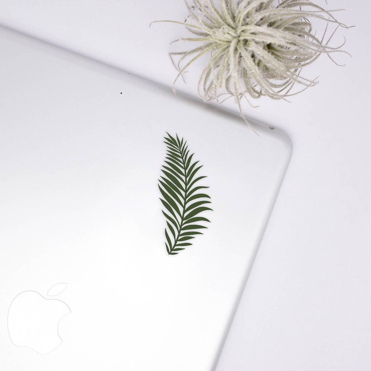 Fern Sticker