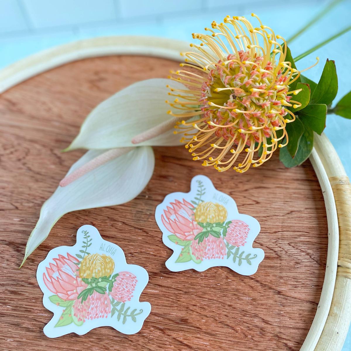 Pincushion Protea