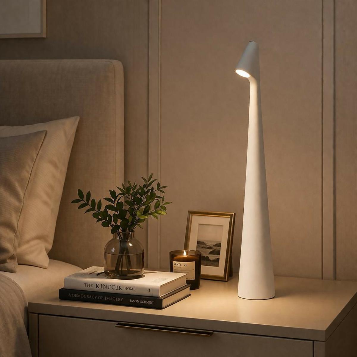 Modern LED Desk Lamp Touch Control USB Rechargeable Study Light
