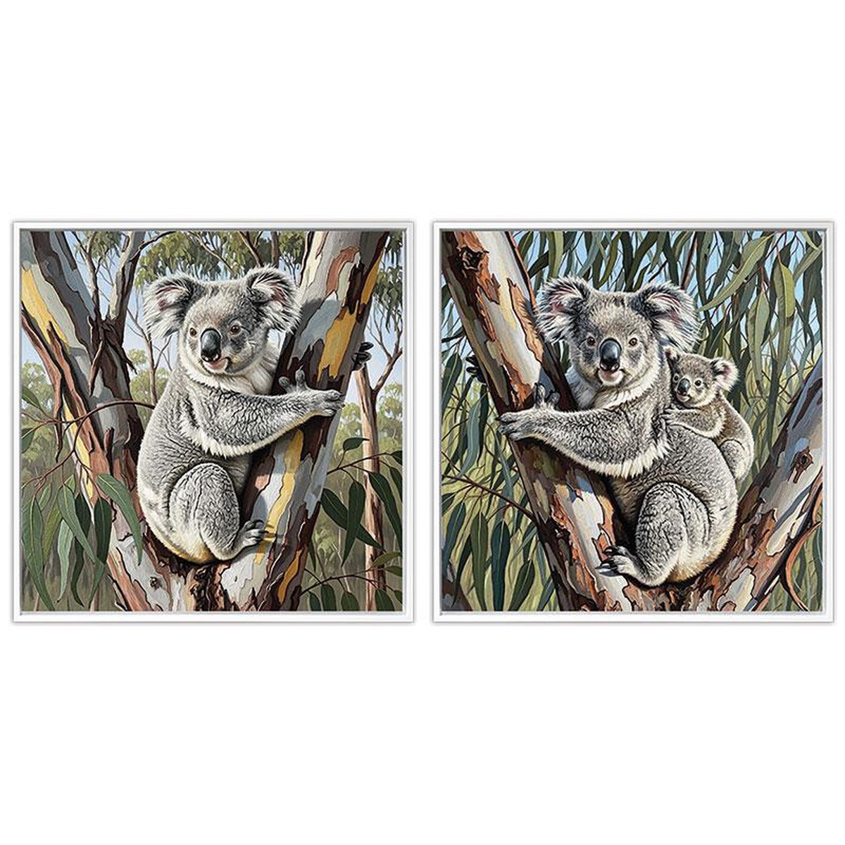 Koala in Tree Frame 40x40cm 2 Assorted