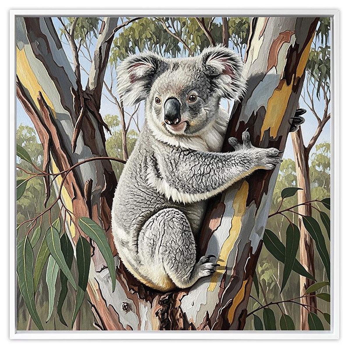 Koala in Tree Frame with Touch Up 80x80cm