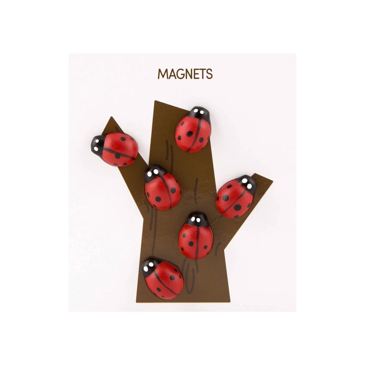Colorful ladybug magnets