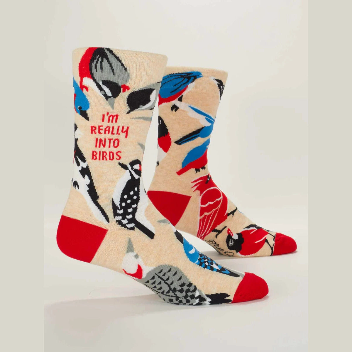 Really Into Birds Men's Socks