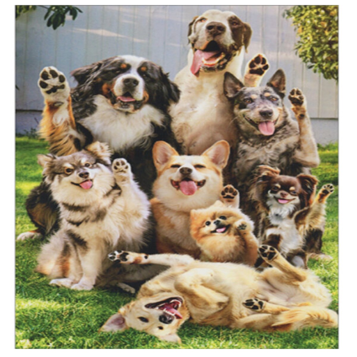 DOGS WAVING GOODBYE