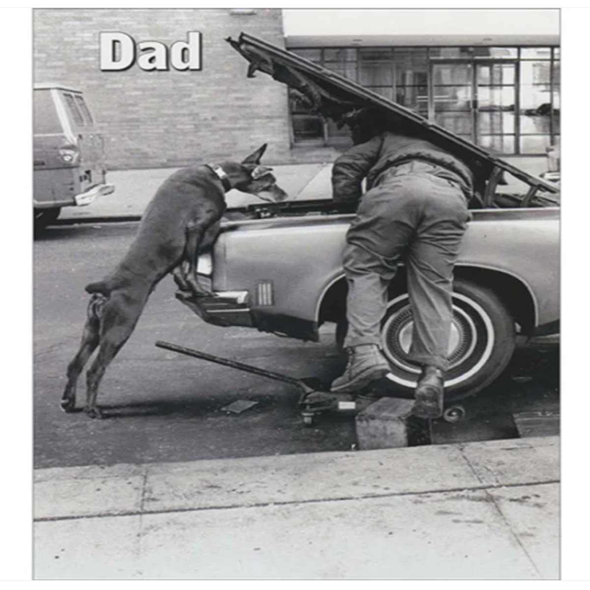 MAN AND DOG ENGINE TUNE UP