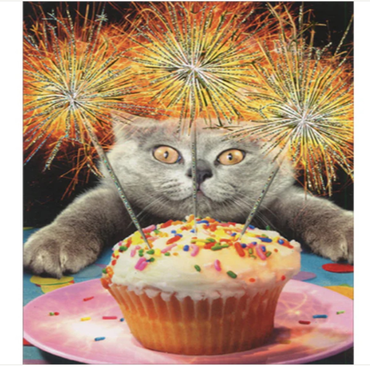 CAT WITH SPARKLER CAKE