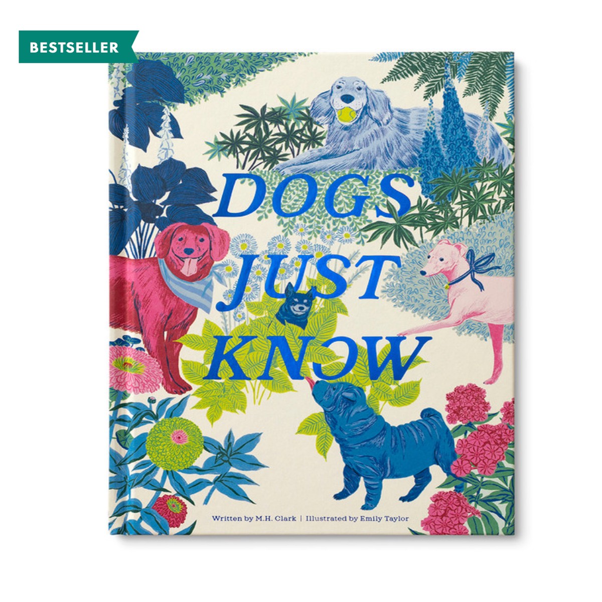 Dogs Just Know