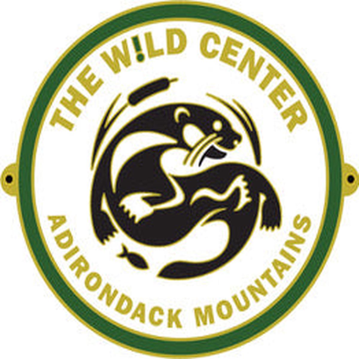 Hiking Medallion