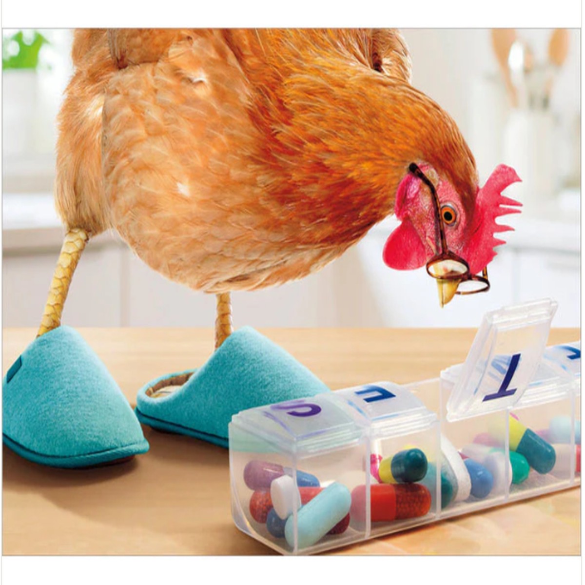 CHICKEN WITH PILL BOX