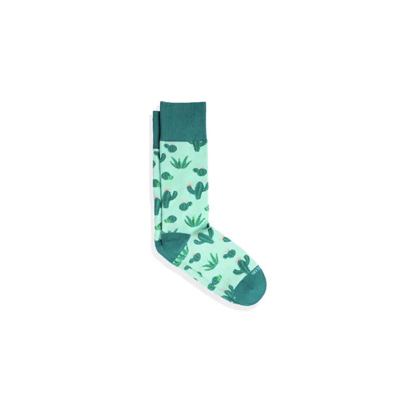 Prickly Cactus Socks