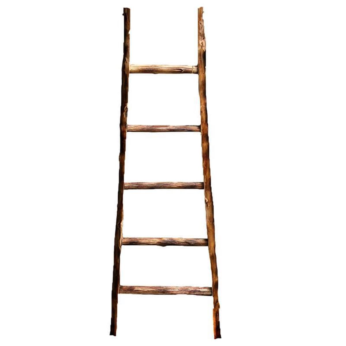 Frans Kopper Blanket Ladder