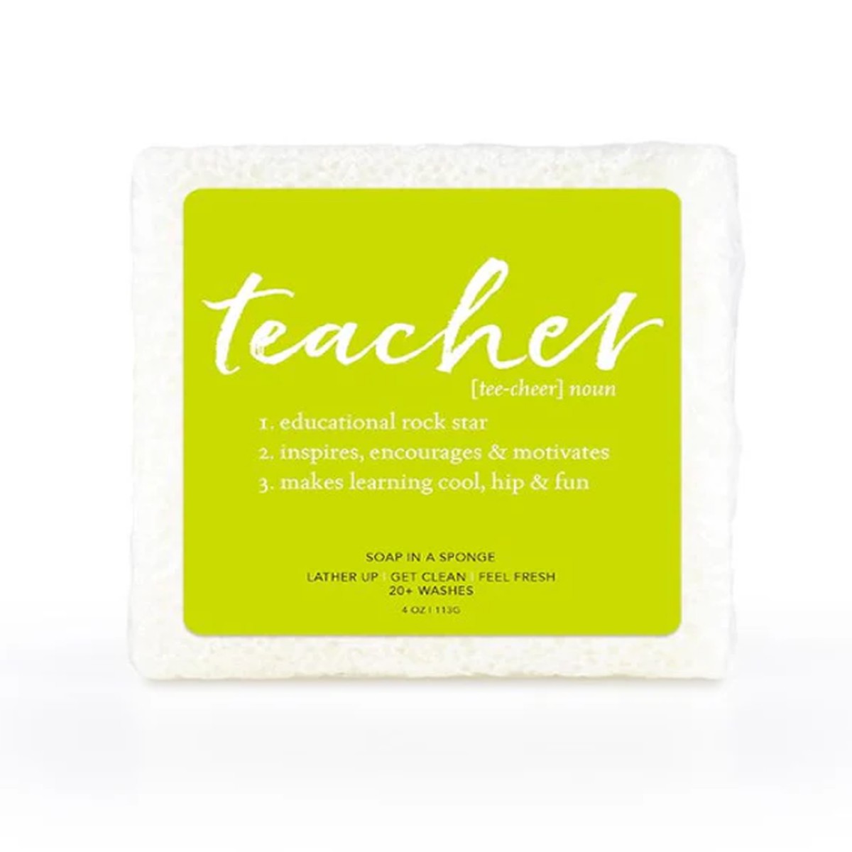 Teacher Soap Sponge