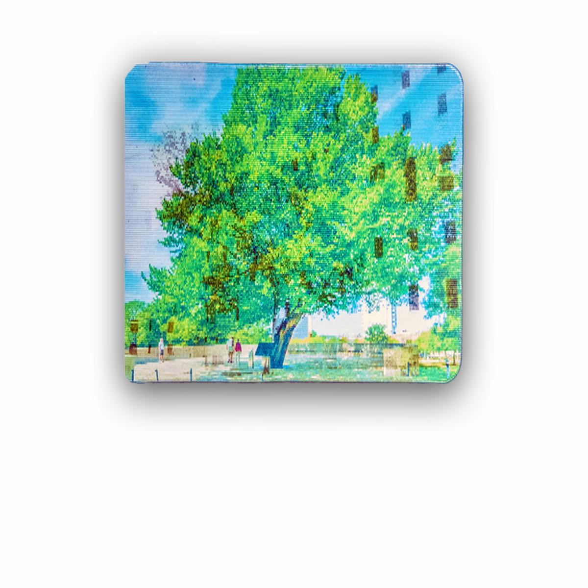 Lenticular Magnet