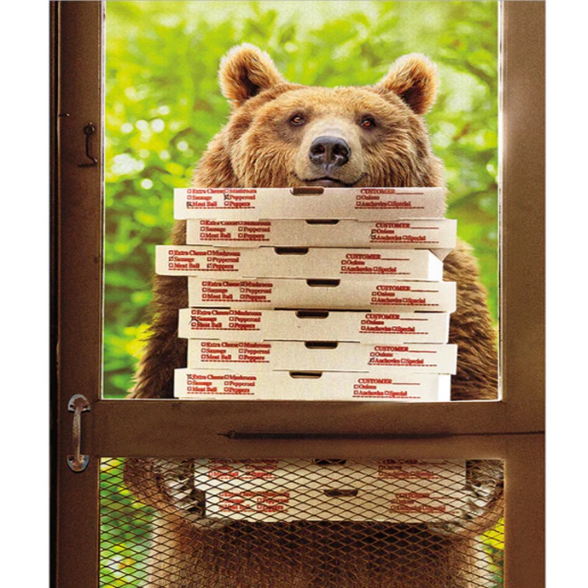 BEAR WITH PIZZAS