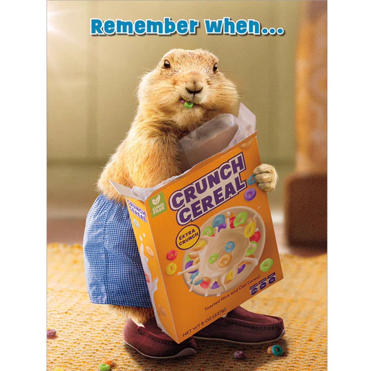 GROUNDHOG CEREAL BOX
