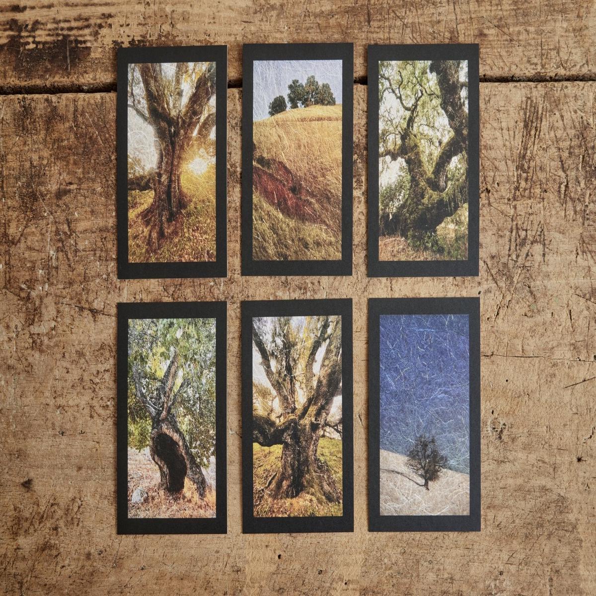 Oak Tree Altar Cards