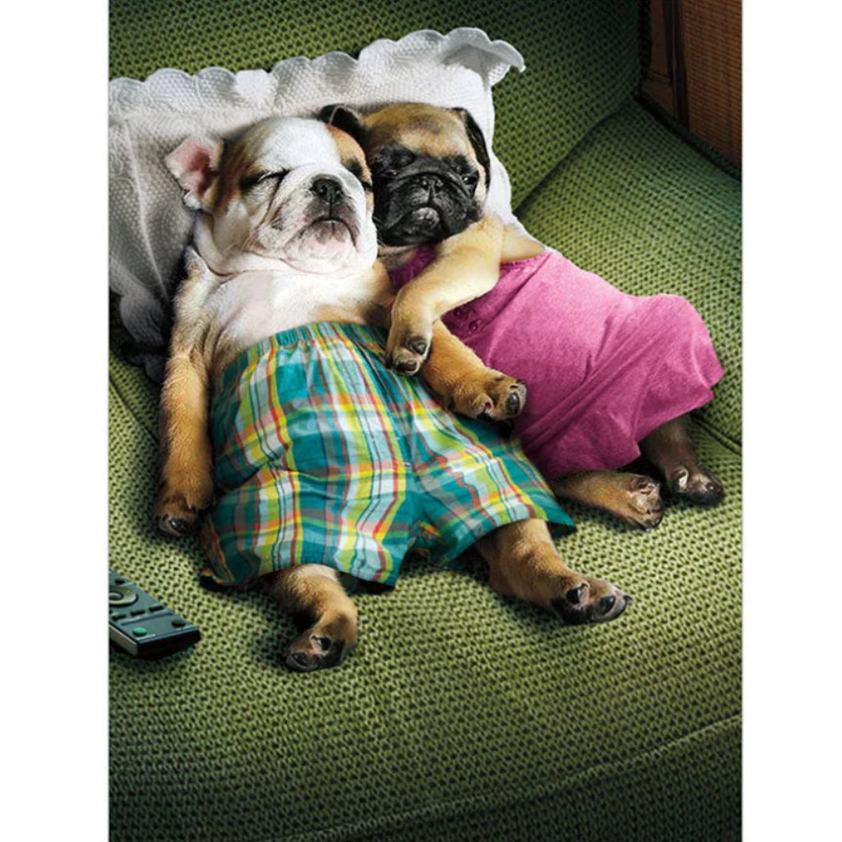 PUPPY LOVE - EVYC VERSION