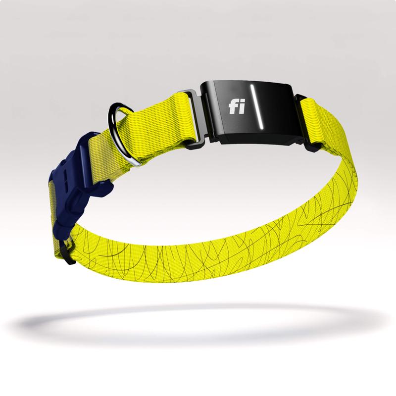Fi Dog Collar