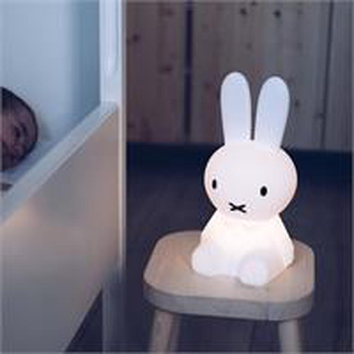 Miffy  First Light