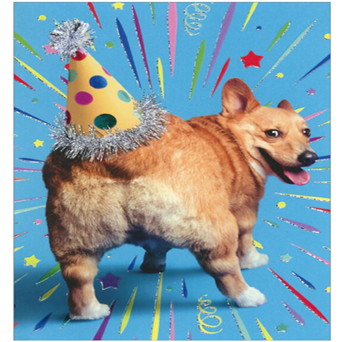 CORGI BUTT BIRTHDAY HAT