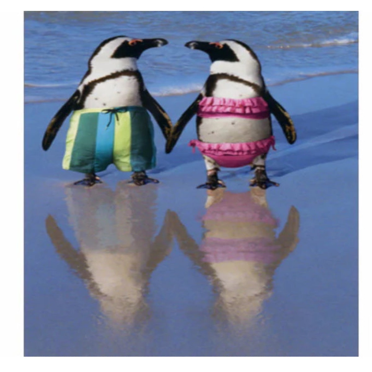 PENGUINS HOLDING HANDS
