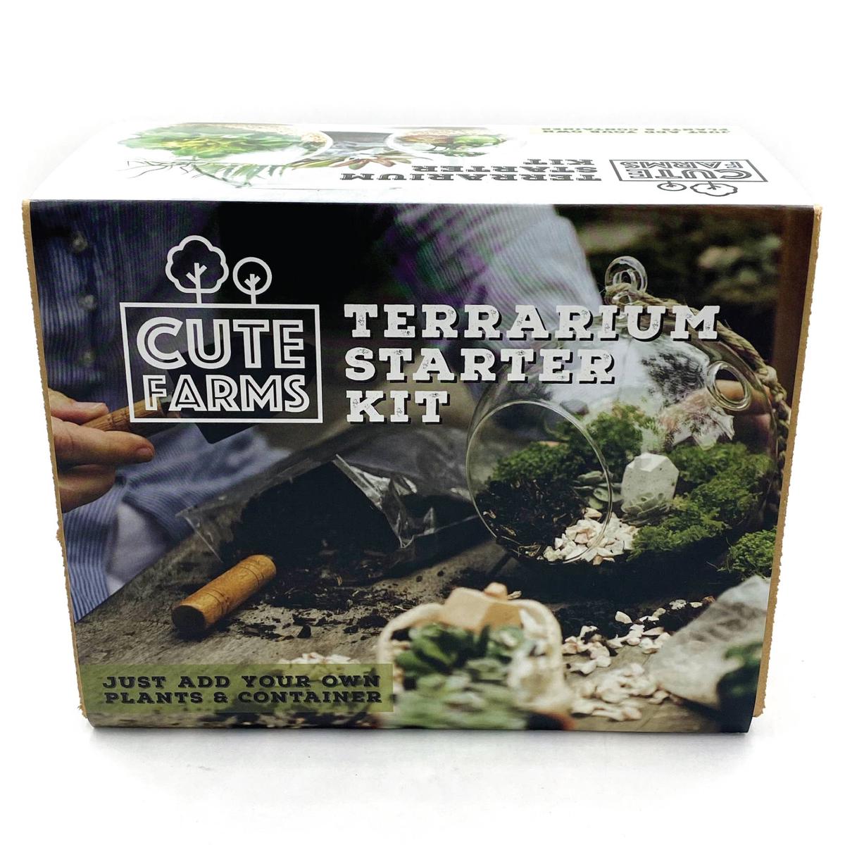 Terrarium Starter Kit
