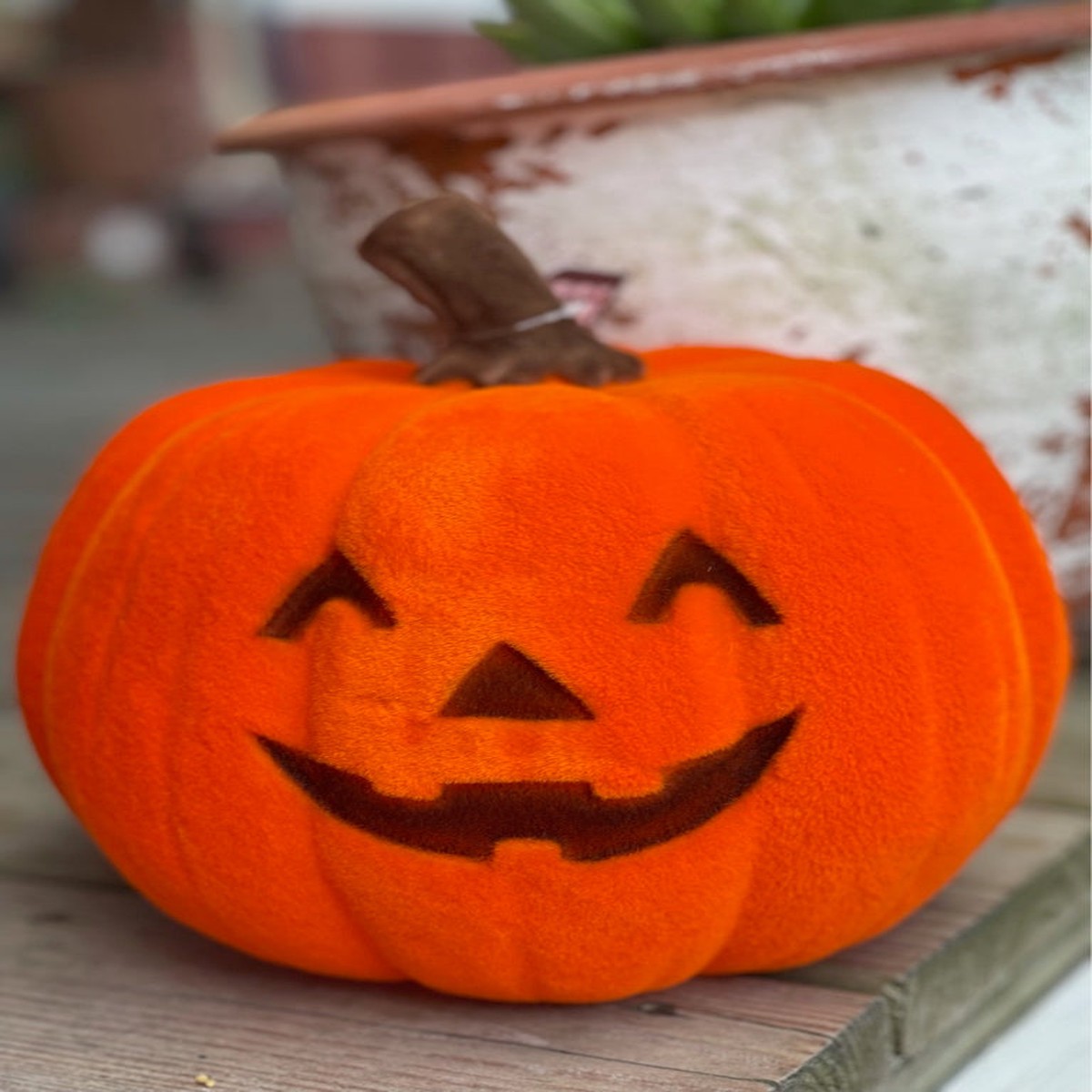 Flocked Jack O Lantern