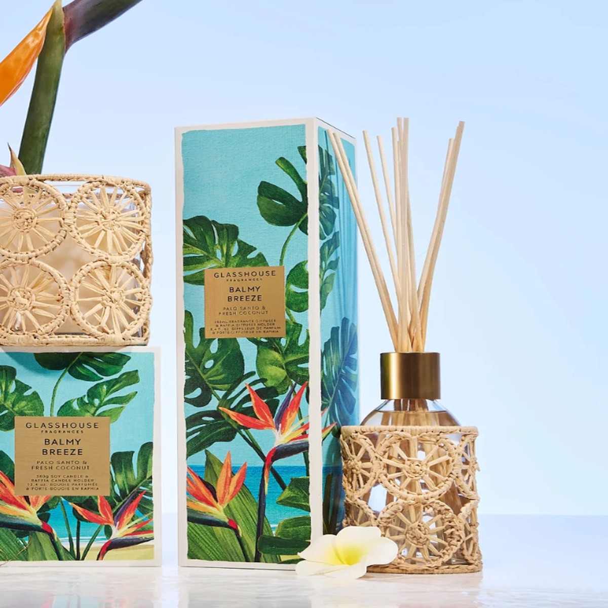 8.4 fl. oz. Diffuser - Balmy Breeze