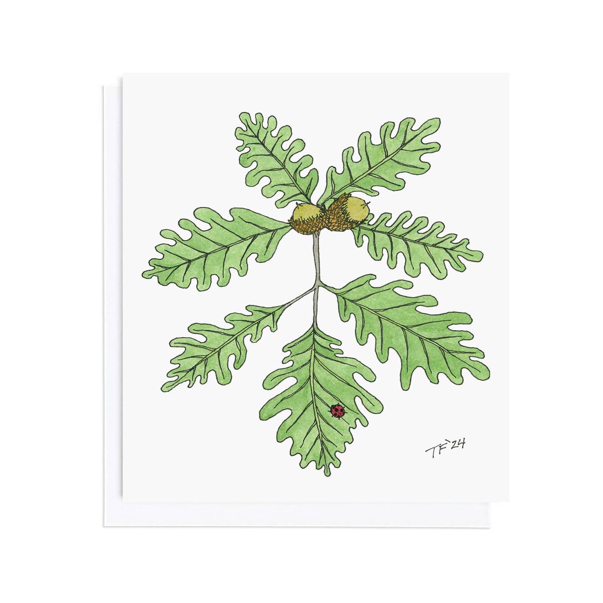 Bur Oak and Ladybug, Botanical