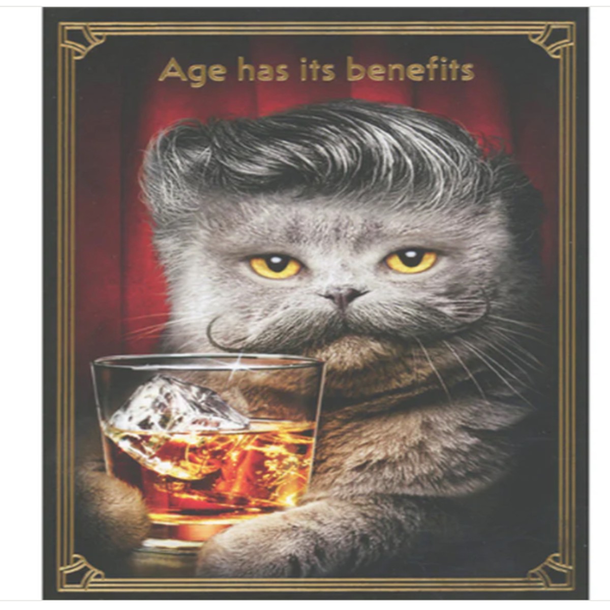 GRAY CAT WITH MUSTACHE