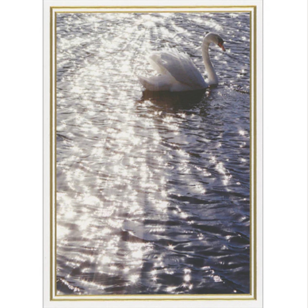 SWAN IN SUNLIGHT
